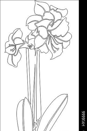 �ٺϵ��ͼ�� CDR