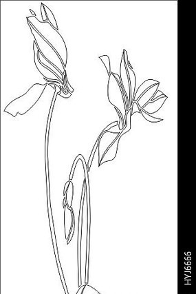 Ҷ�ӵ��ͼ�� CDR