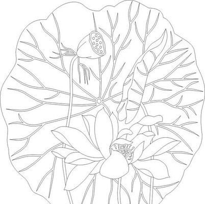 �ɻ����ͼ�� CDR