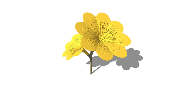 �ƽ𻨶���� skp