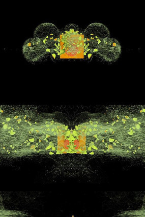 破碎演绎logo动画模板 破碎演绎logo动画模板