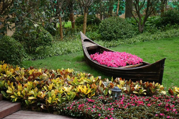 ������ֲ