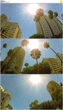 ��¥������ľ̫��