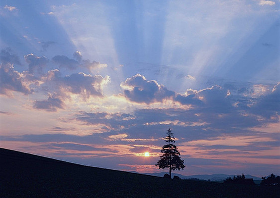 Ϧ����Ȼ����