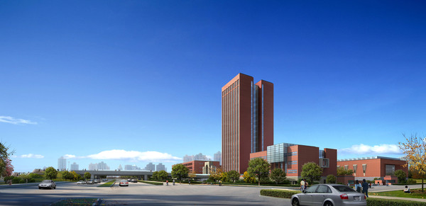 ����Ч��