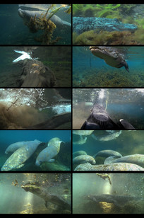 ������ˮ