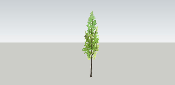 ����2Dˮ���ز�