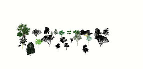 ֲ