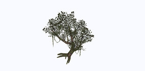 �޴����2D�ز�