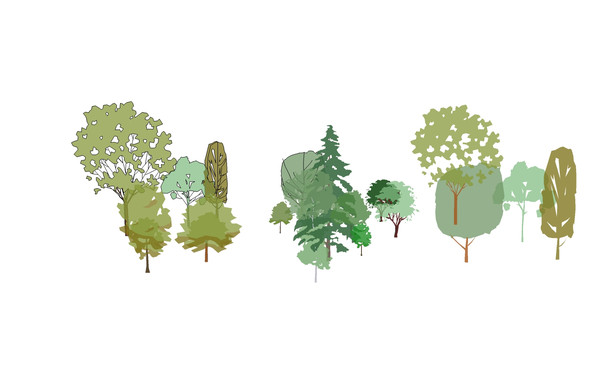 ͸��2D���ز� skp