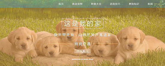 �ɰ�banner���