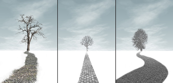 手绘发财树装饰画 手绘发财树装饰画