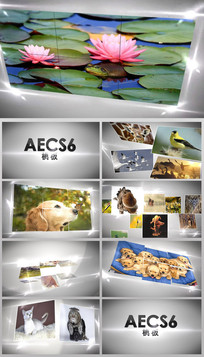 AECS6Сչʾ