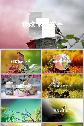 唯美清新宣传片头 唯美清新宣传片头