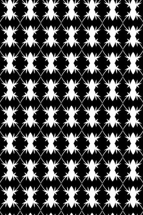 ���������ͼ��