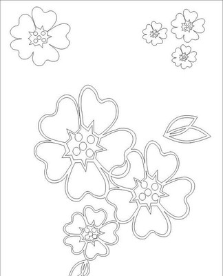 �ػ����ͼ�� CDR