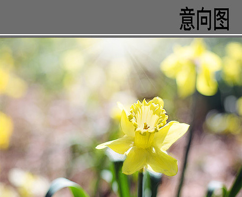 ����ˮ��