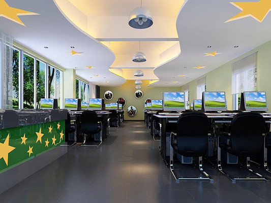 ��ɫ����