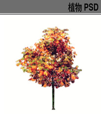 ����ֲ�������ز�