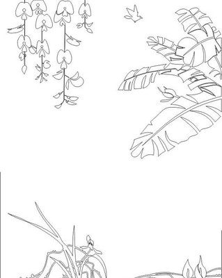 ��Ҷ���ͼ�� CDR