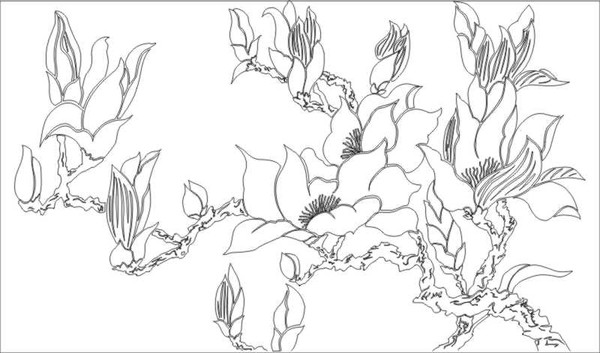 玉兰花开雕刻图案 玉兰花开雕刻图案