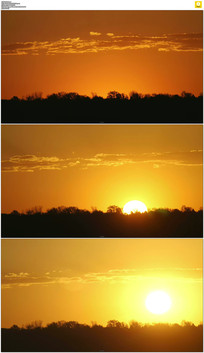 ��ɫ̫��������