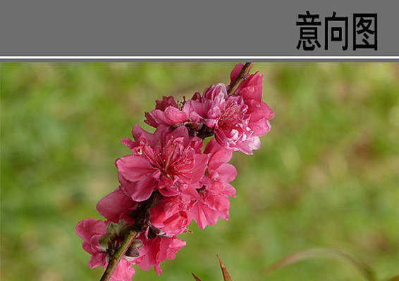 �һ�����