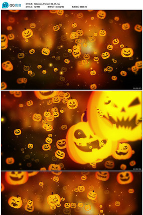 ��ʥ����Ƶ�ز�  mov