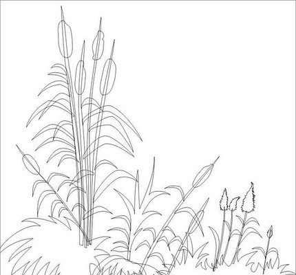 �������ͼ��