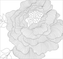 ���о���ͼ��