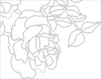 ˫��õ����ͼ��