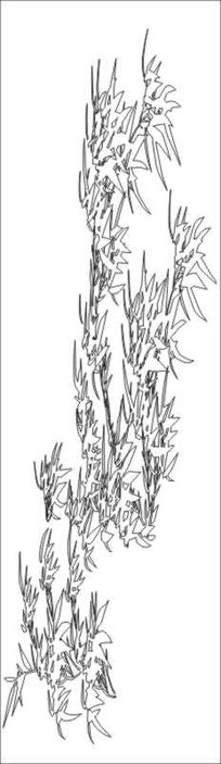 ��Ҷ���ͼ��