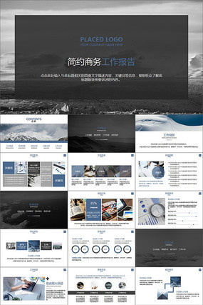商务工作报告年度总结PPT 商务工作报告年度总结PPT