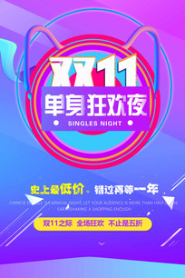 ����˫ʮһ����