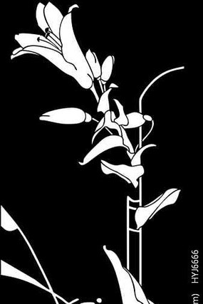 ���黨���ͼ�� CDR