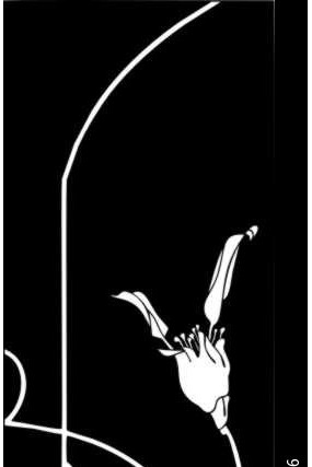 ����֦�����ͼ��