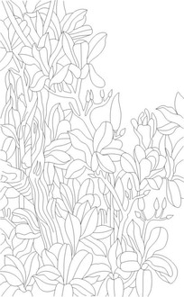 �����������ͼ��