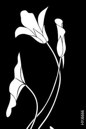 ������ͼ�� CDR