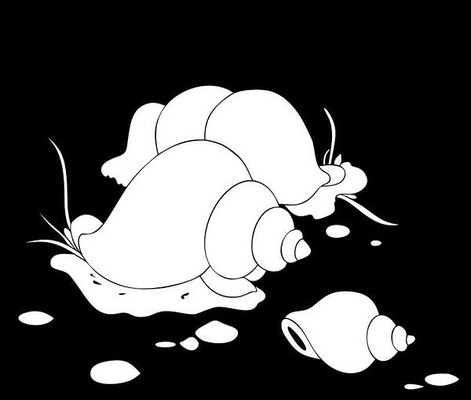 Ⱥ�ݵ��ͼ��