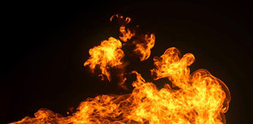 ����ȼ����Ƶ