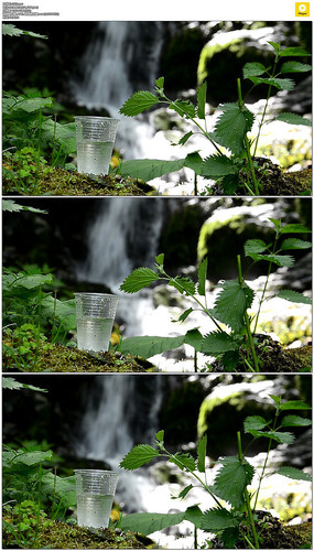 ������ɽȪˮʵ����Ƶ�ز�