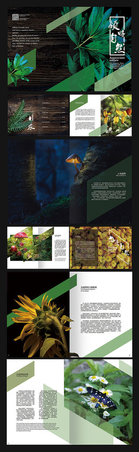 ��Լ��Ȼ�������