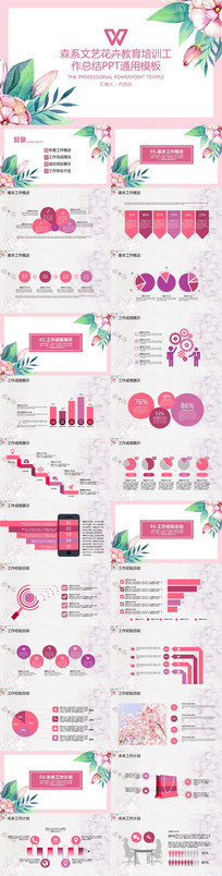 Ψ��������ѵ�����ܽ�PPT