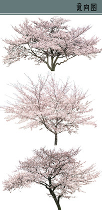 ӣ���ֲ��ز�