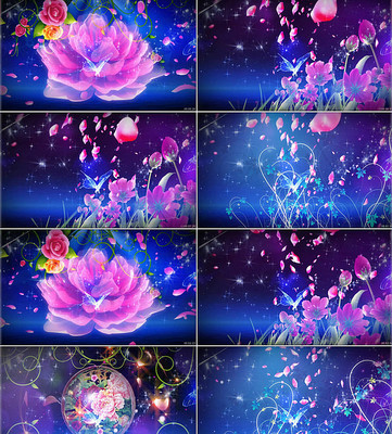 ������׸����ֳ�Ʒ��Ƶ