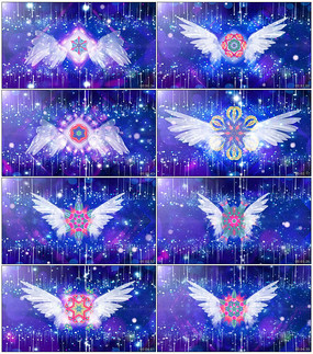 һֳƷƵ