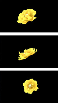 Ư��Ѥ������Ƶ