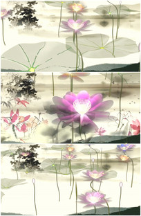 ǧǧ����������Ƶ