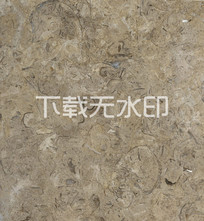 ȱʯ