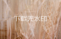 ʯʯİĴʯ